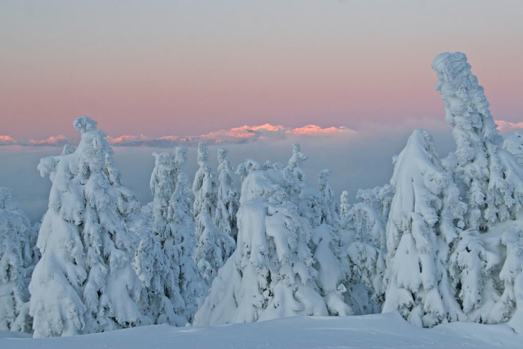 Ferienhuetten Zimmermann Spital am Semmering Exteriér fotografie
