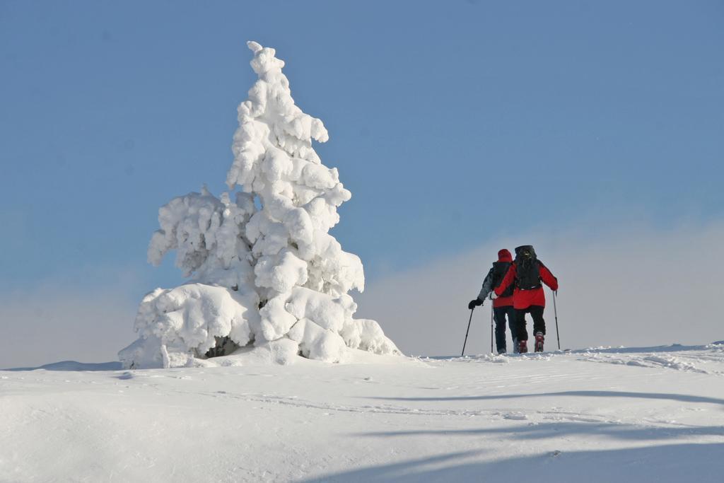 Ferienhuetten Zimmermann Spital am Semmering Exteriér fotografie